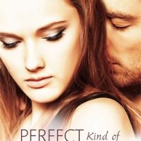 Perfect Kind of Trouble by Chelsea Fine
